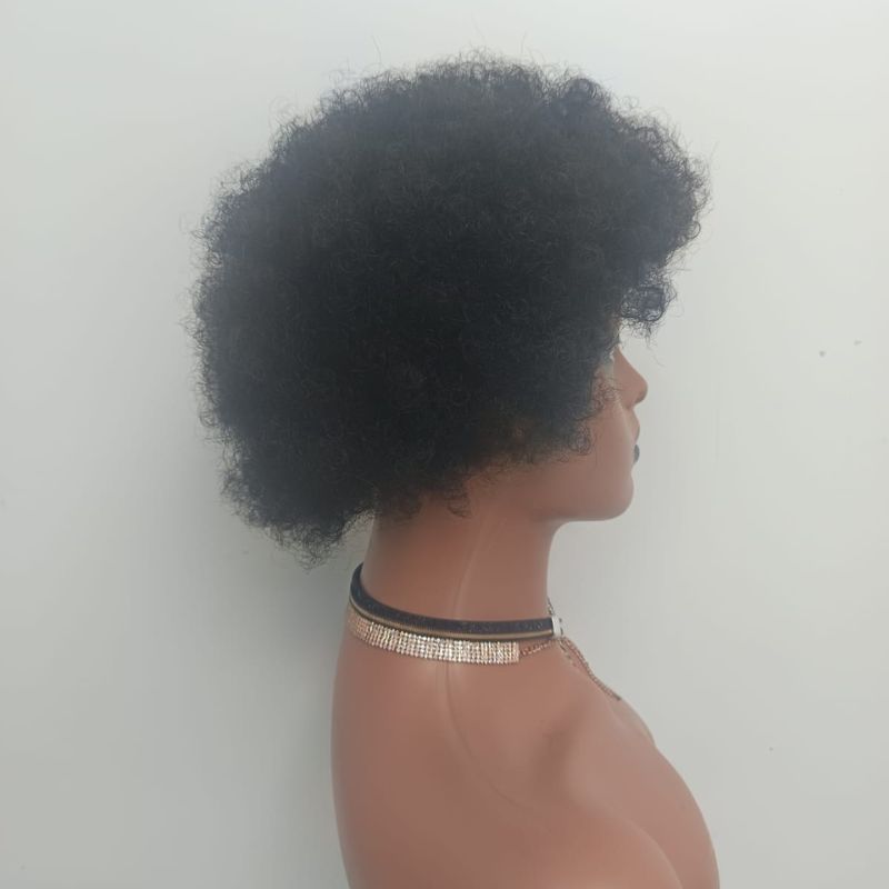 Human Hair Wig 34