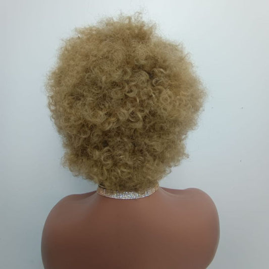 Human Hair Wig 37
