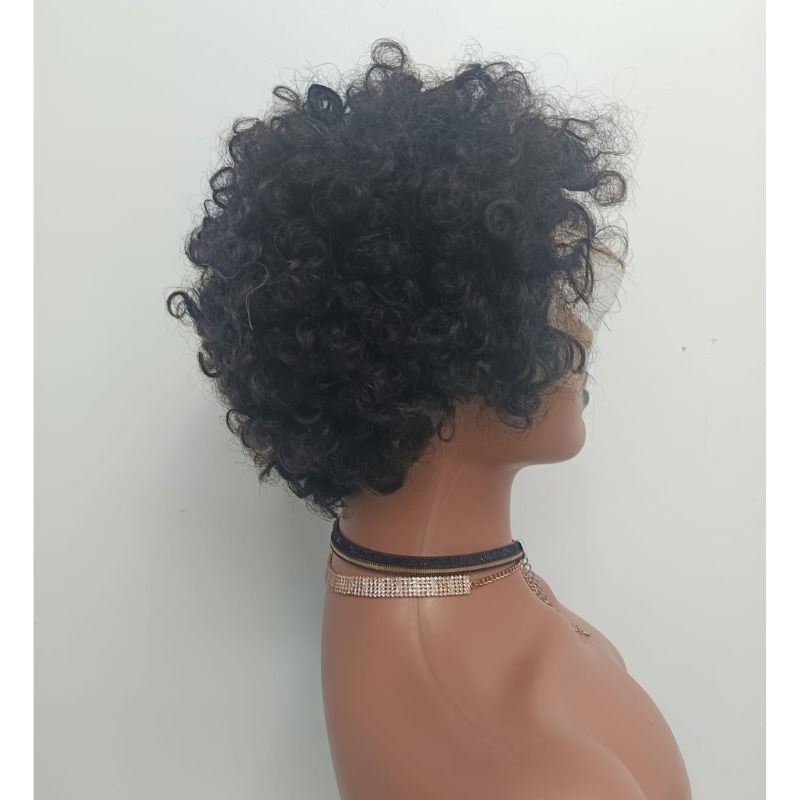 Human Hair Wig 39