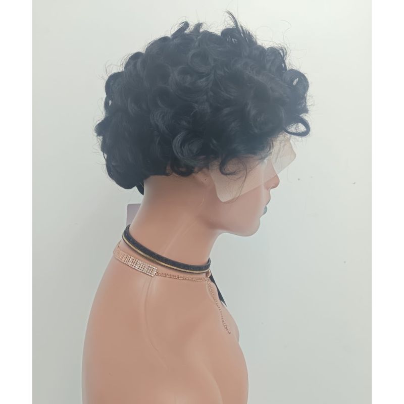 Human Hair Wig 41