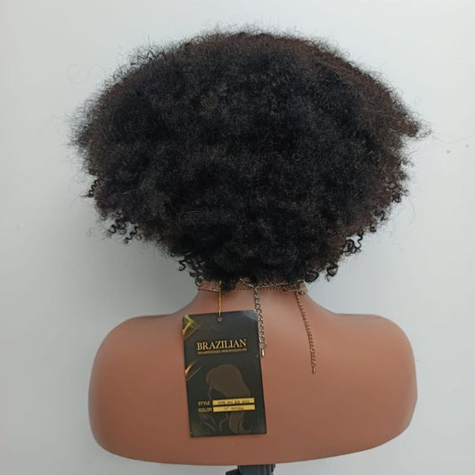 Human Hair Wig 72