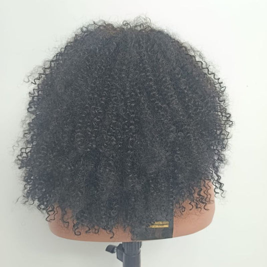 Human Hair Wig 73
