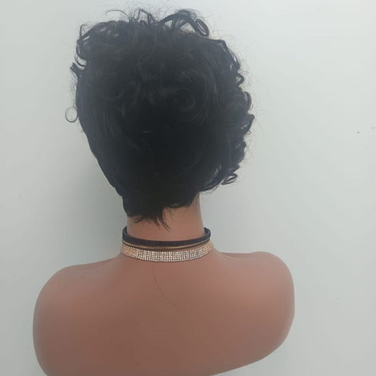 Human Hair Wig 31