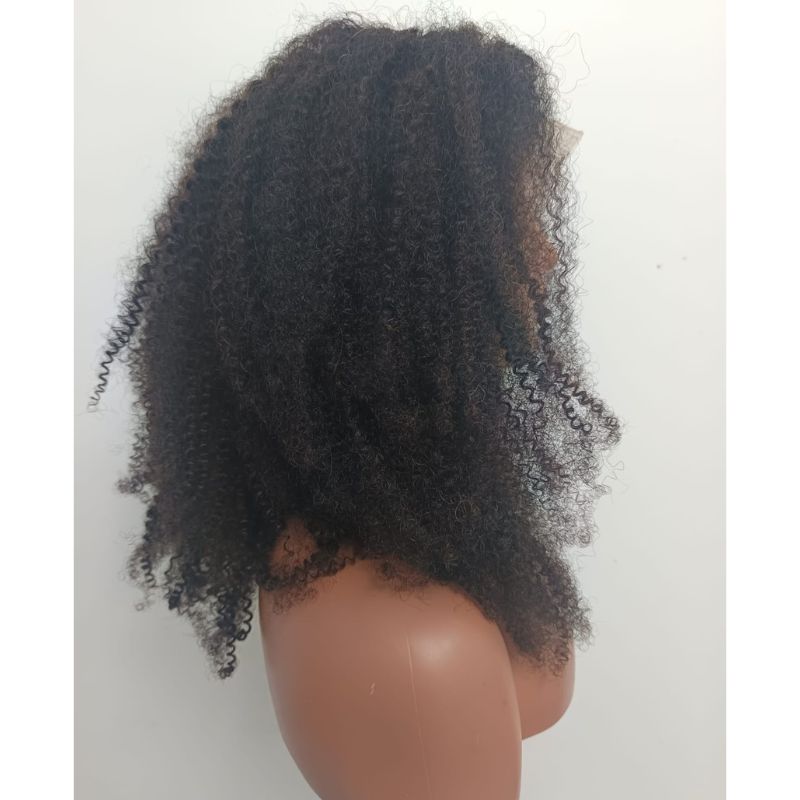 Human Hair Wig 54