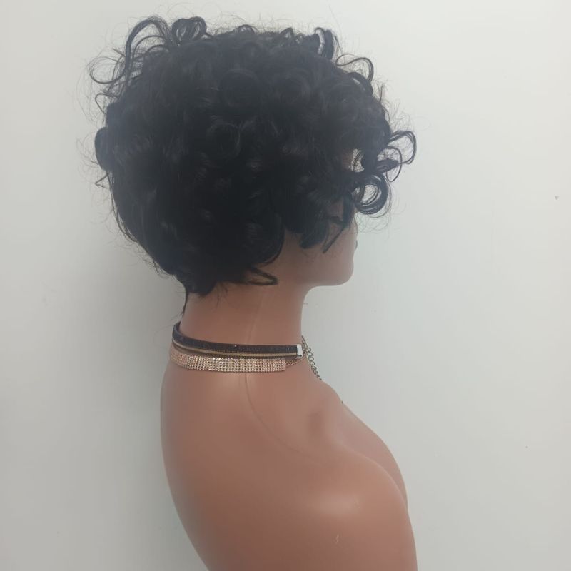 Human Hair Wig 31