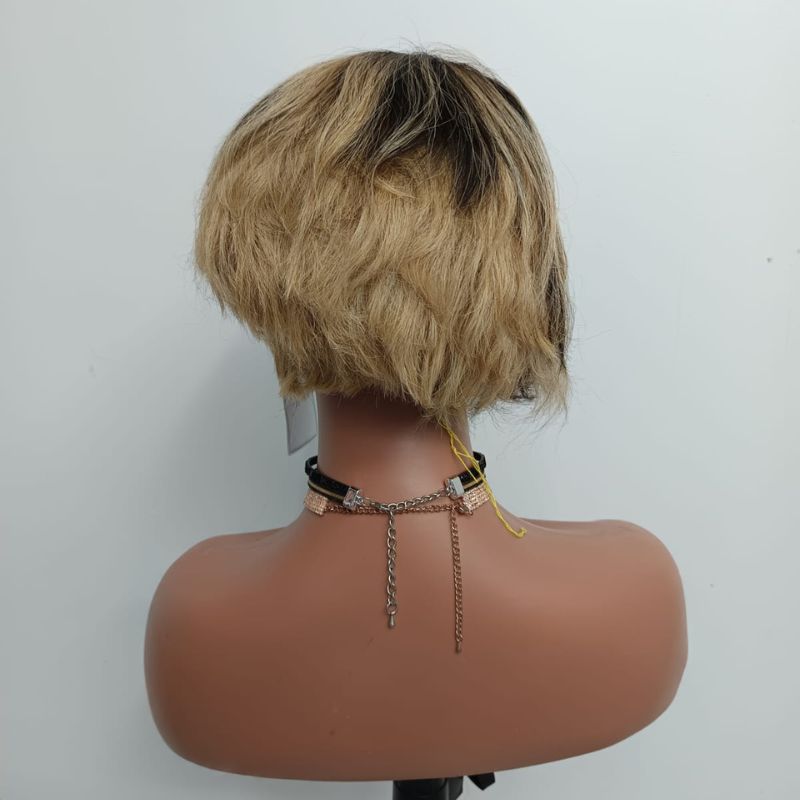 Human Hair Wig 66