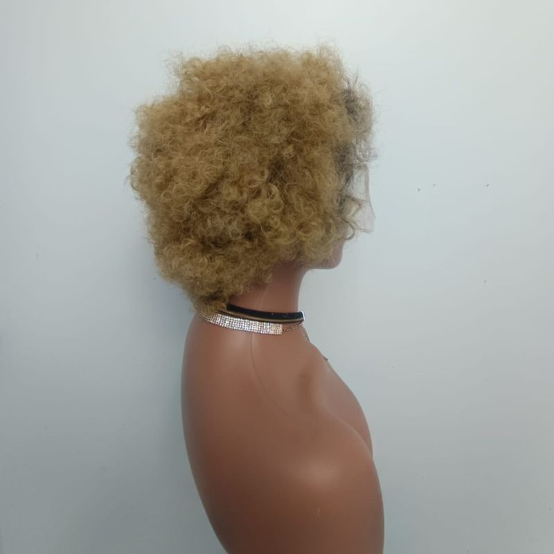Human Hair Wig 37