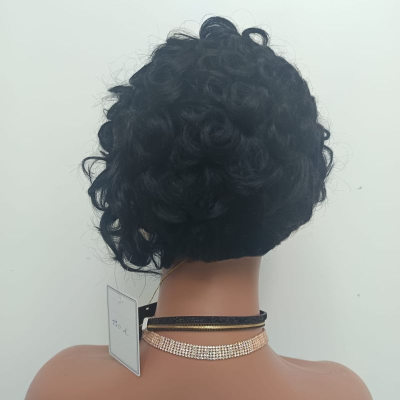 Human Hair Wig 41