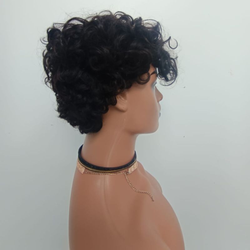 Human Hair Wig 43