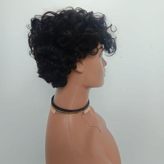 Human Hair Wig 43