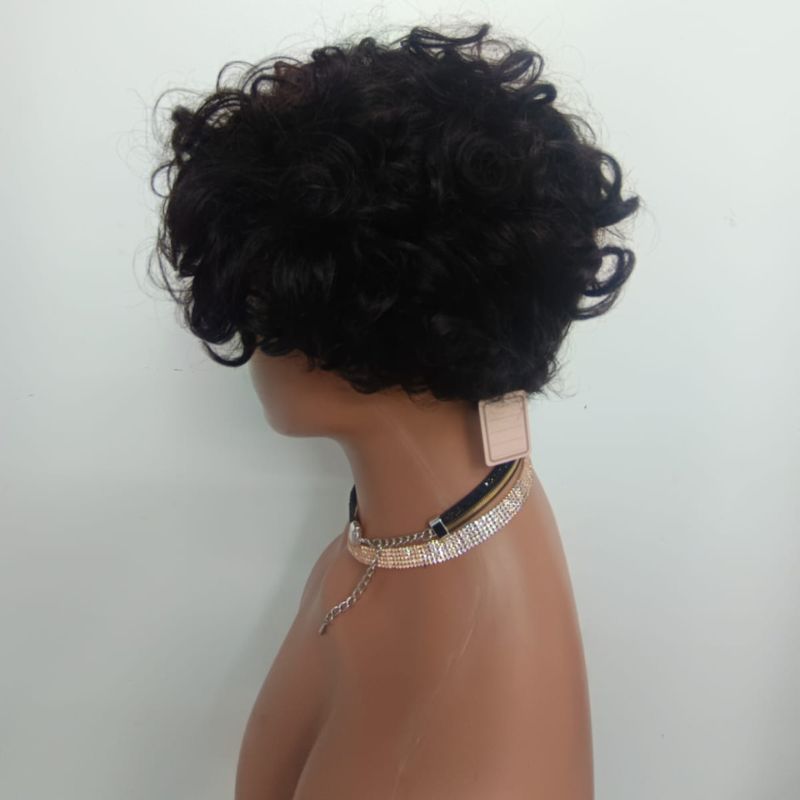 Human Hair Wig 43