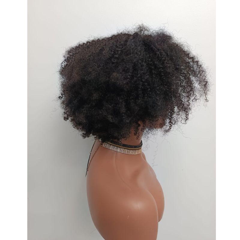 Human Hair Wig 72