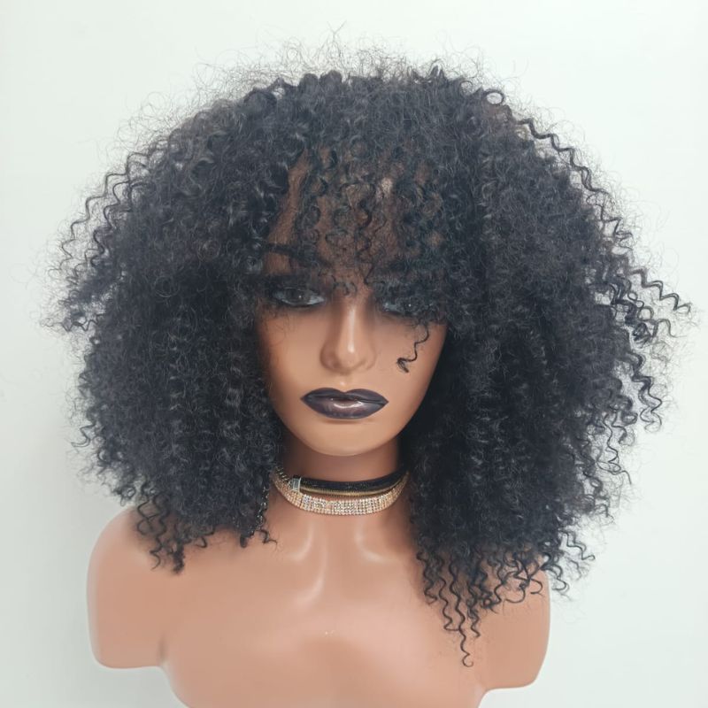 Human Hair Wig 73