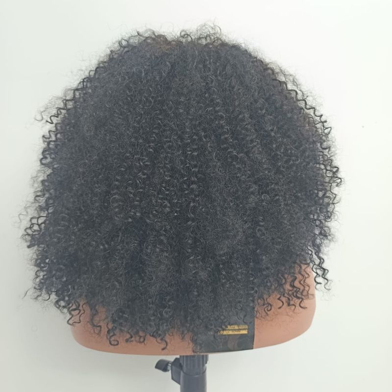 Human Hair Wig 73