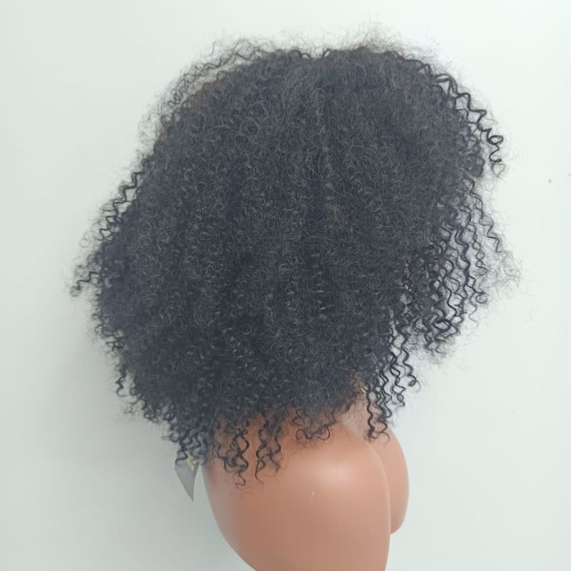 Human Hair Wig 73