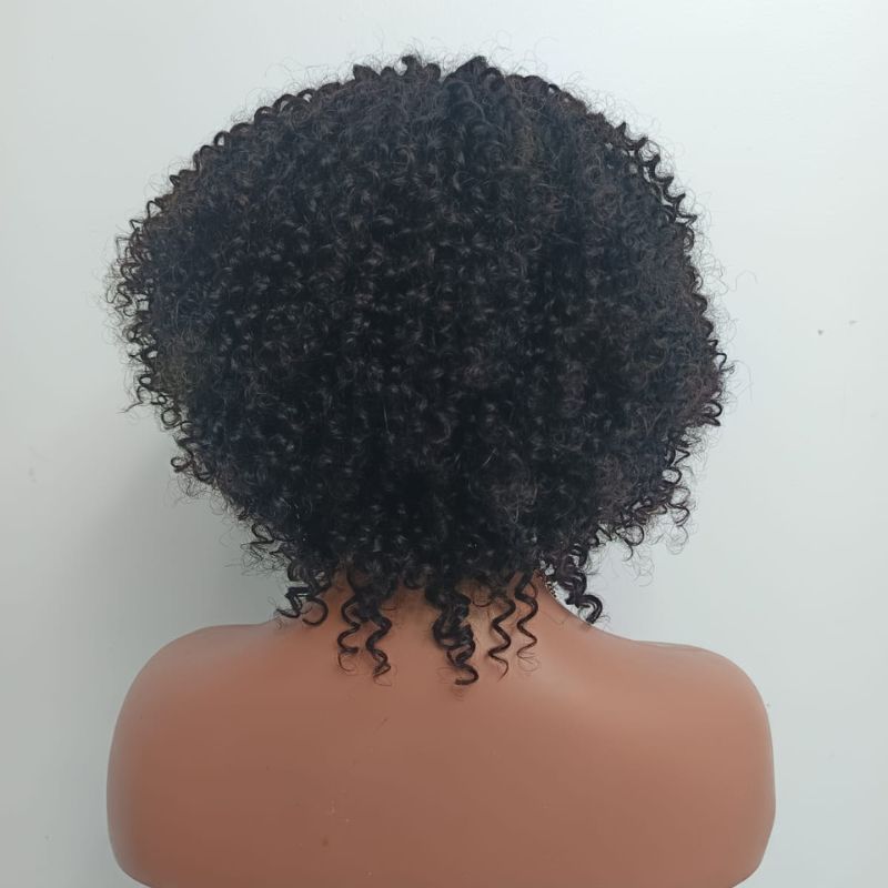 Human Hair Wig 74