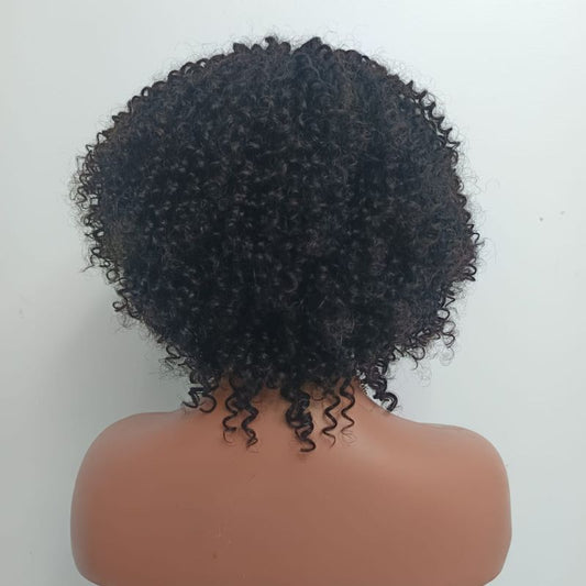Human Hair Wig 74